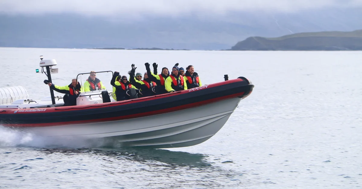 express dalvik whale watching