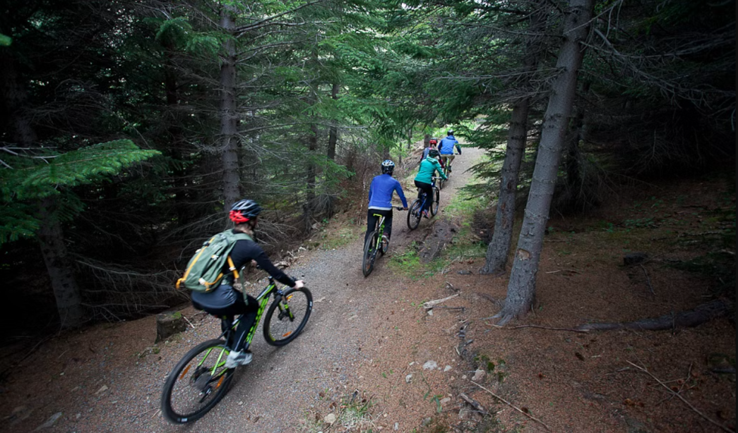 Mountain bike